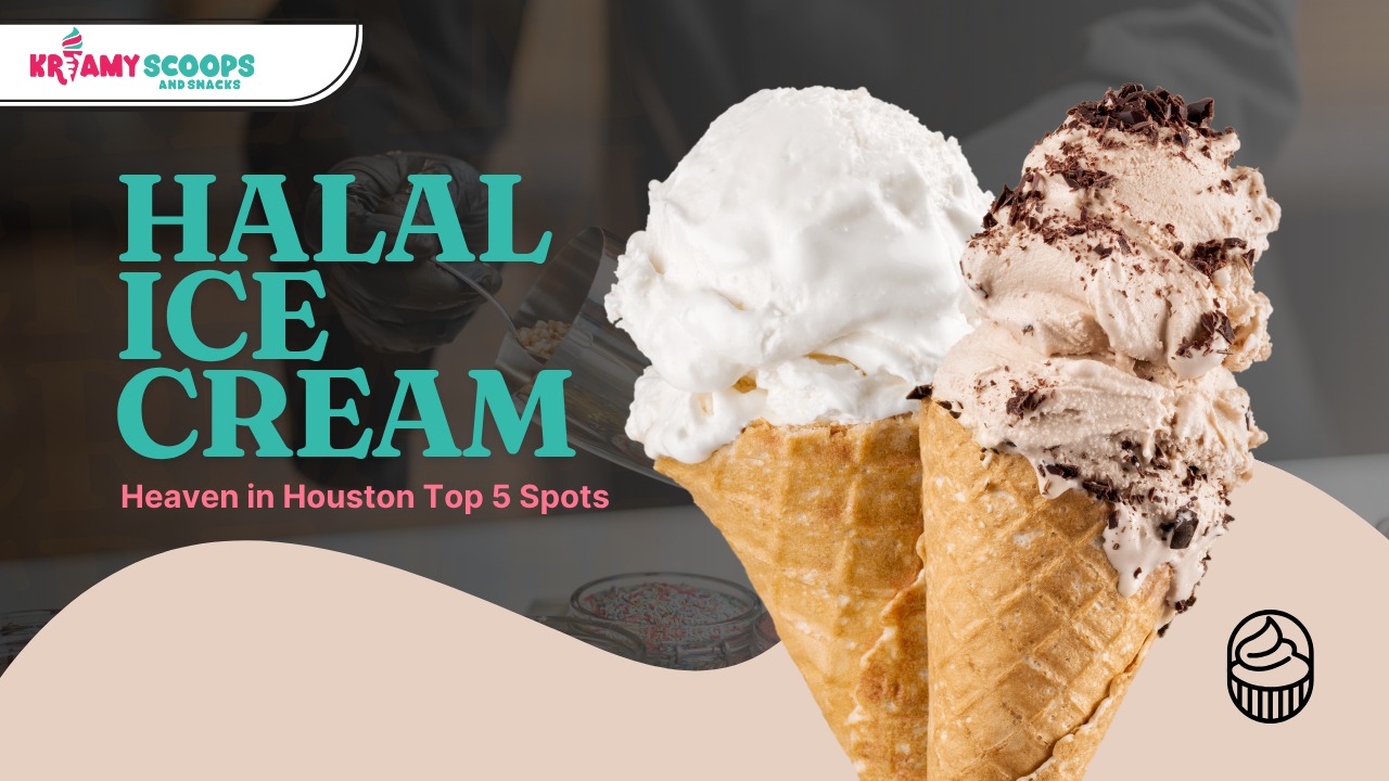 Halal food in houston